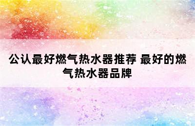 公认最好燃气热水器推荐 最好的燃气热水器品牌